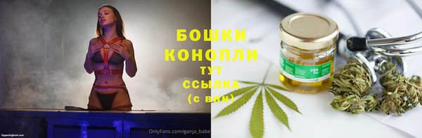 сатива Беслан