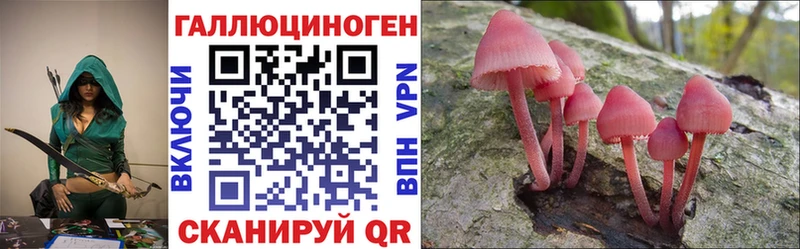 как найти закладки  Венёв  KRAKEN вход  Галлюциногенные грибы Magic Shrooms 
